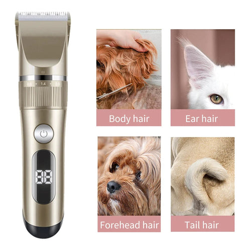 Tondeuse Professionnelle Tout Métal Rechargeable pour Chat et Chien