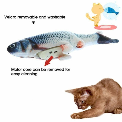 Jouet Poisson Électrique Interactif pour Chat
