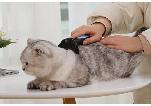 Kit de Toilettage Anti-Poils pour Chat et Chien – 3 en 1