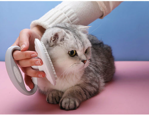 Kit de Toilettage Anti-Poils pour Chat et Chien – 3 en 1