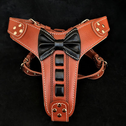 Bestia – Harnais en Cuir "Bowtie" pour Chien
