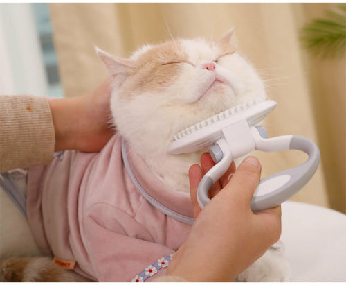 Kit de Toilettage Anti-Poils pour Chat et Chien – 3 en 1