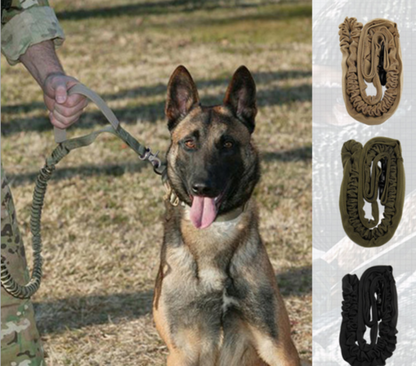 Laisse Réfléchissante Ajustable pour Chien – 97-150 cm