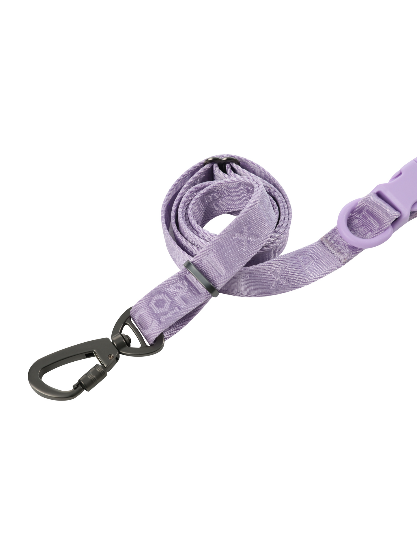 Laisse Active Rembourrée pour Chien – Mint Purple