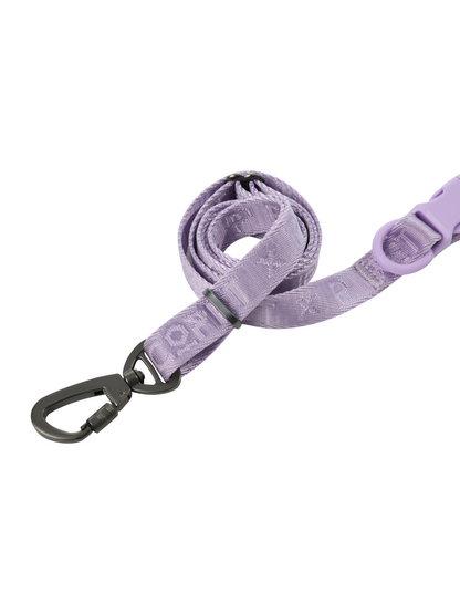 Laisse Active Rembourrée pour Chien – Mint Purple