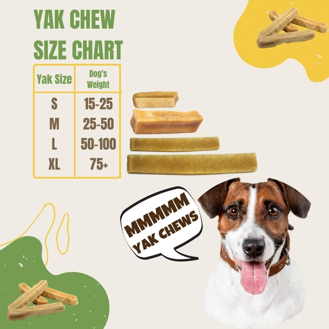 EcoKind – Friandise Naturelle au Fromage de Yak Himalayen pour Chien (Grand, 4 pcs)