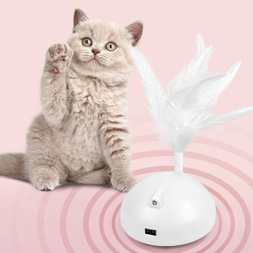 Baguette Interactive Automatique pour Chat – Rechargeable USB
