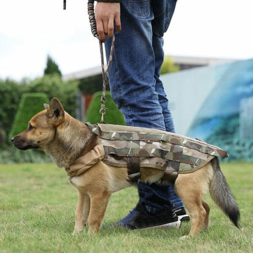 Laisse Réfléchissante Ajustable pour Chien – 97-150 cm