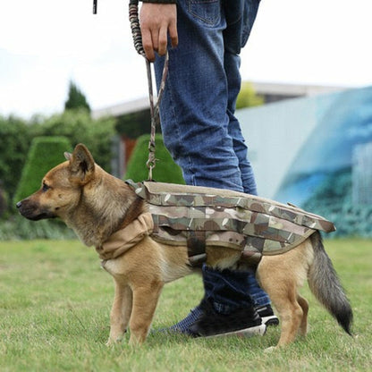 Laisse Réfléchissante Ajustable pour Chien – 97-150 cm