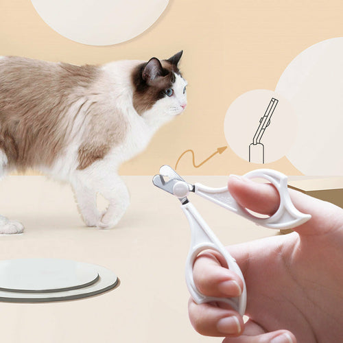 Kit de Toilettage Anti-Poils pour Chat et Chien – 3 en 1