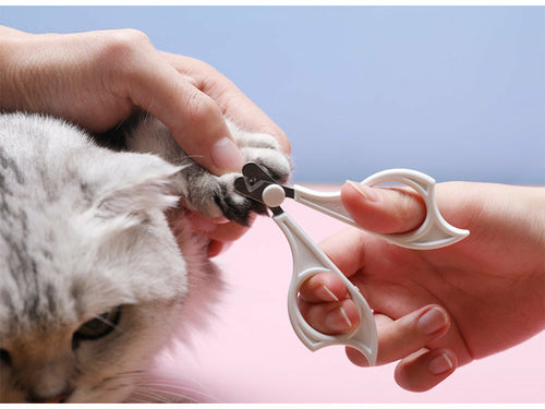 Kit de Toilettage Anti-Poils pour Chat et Chien – 3 en 1