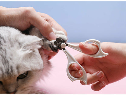 Kit de Toilettage Anti-Poils pour Chat et Chien – 3 en 1