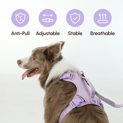 Harnais Anti-Traction Actif pour Chien – Mint Purple