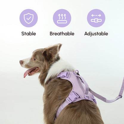 Laisse Active Rembourrée pour Chien – Mint Purple