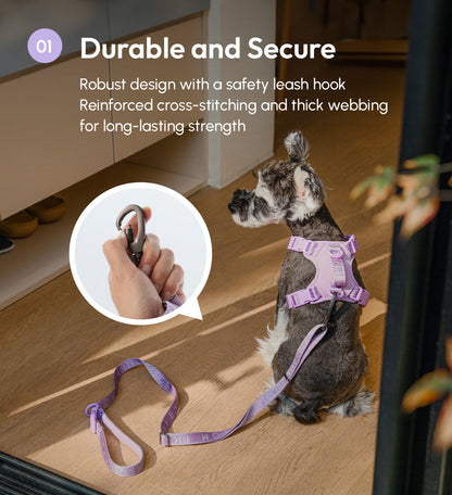 Laisse Active Rembourrée pour Chien – Mint Purple