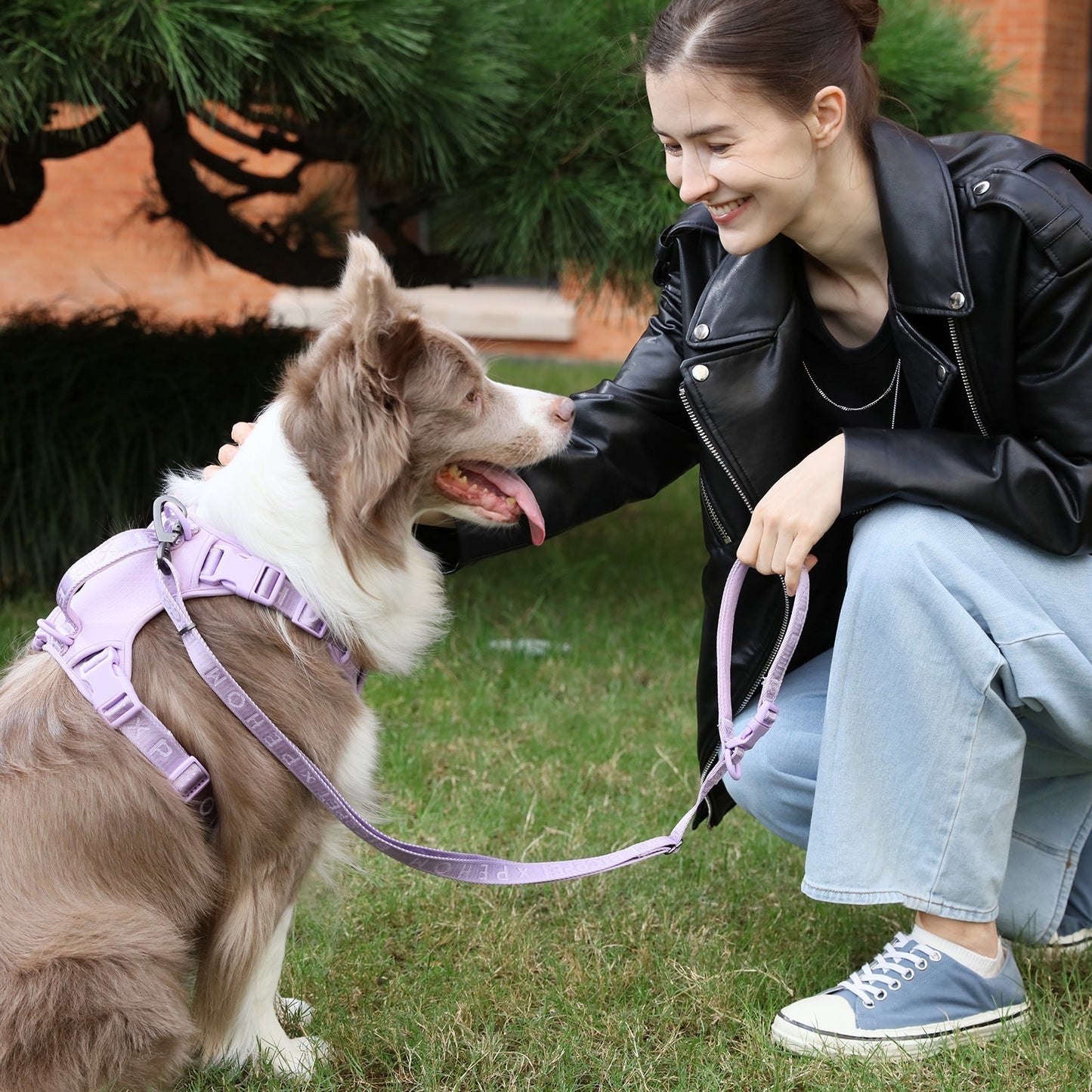 Laisse Active Rembourrée pour Chien – Mint Purple