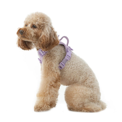 Harnais Anti-Traction Actif pour Chien – Mint Purple