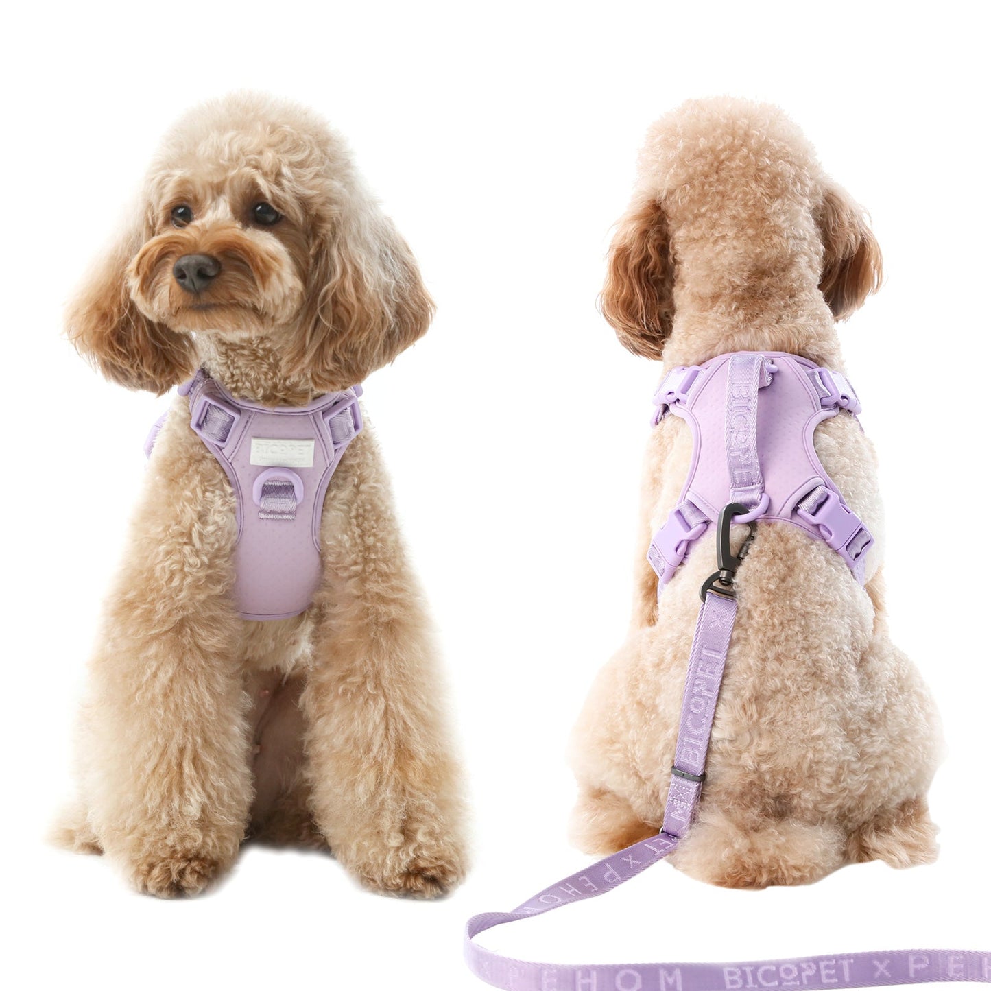 Harnais Anti-Traction Actif pour Chien – Mint Purple