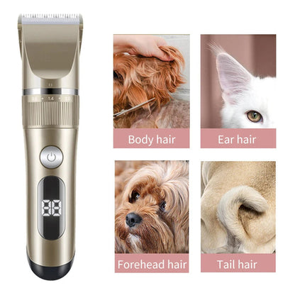 Tondeuse Professionnelle Tout Métal Rechargeable pour Chat et Chien