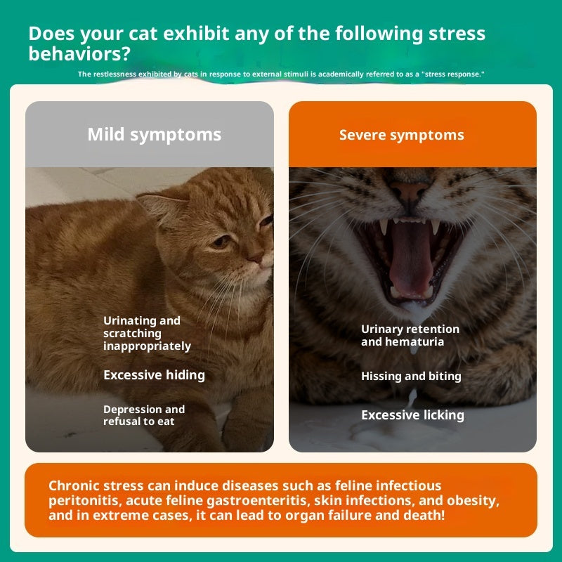 Phéromone Apaisante Anti-stress pour Chat – Format Voyage 35g