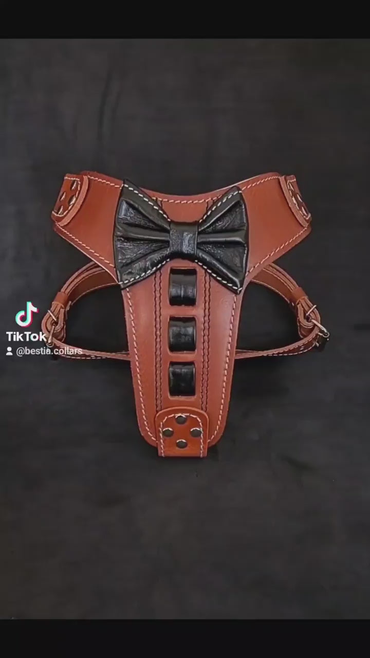 Bestia – Harnais en Cuir "Bowtie" pour Chien