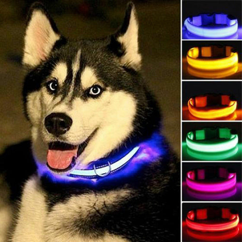 Ensemble 2 Colliers LED Nylon pour Chien – Visible la Nuit