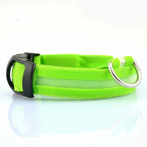 Ensemble 2 Colliers LED Nylon pour Chien – Visible la Nuit