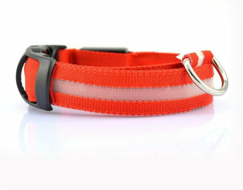 Ensemble 2 Colliers LED Nylon pour Chien – Visible la Nuit