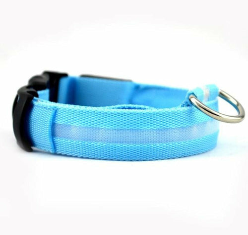 Ensemble 2 Colliers LED Nylon pour Chien – Visible la Nuit