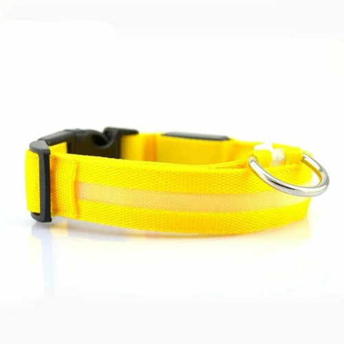Ensemble 2 Colliers LED Nylon pour Chien – Visible la Nuit