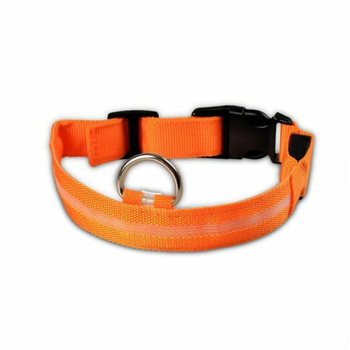 Ensemble 2 Colliers LED Nylon pour Chien – Visible la Nuit