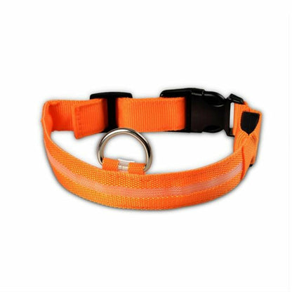 Ensemble 2 Colliers LED Nylon pour Chien – Visible la Nuit
