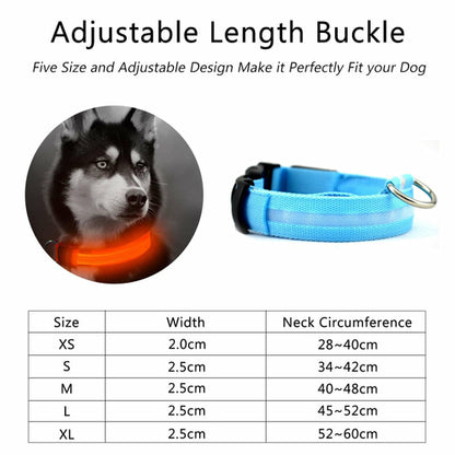 Ensemble 2 Colliers LED Nylon pour Chien – Visible la Nuit
