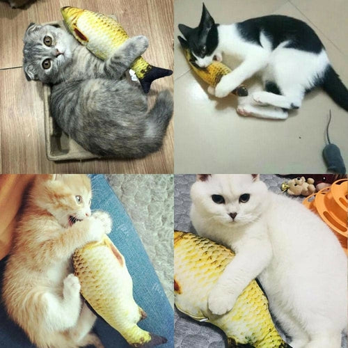 Jouet Poisson Électrique Interactif pour Chat